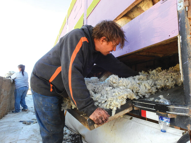 Wool Grower